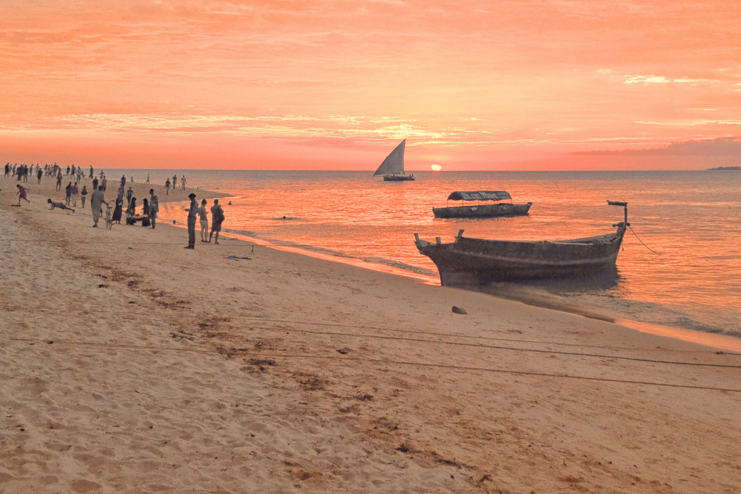 musoma (2).webp